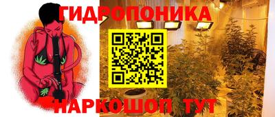 гидра Апрелевка