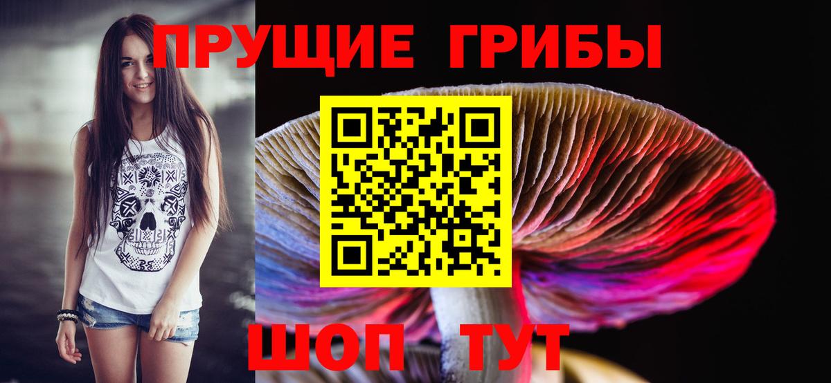 Березники  Галлюциногенные грибы Psilocybe  Вход с VPN 